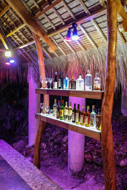 Den Pasar Nasog Beachfront Villa