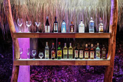 Den Pasar Nasog Beachfront Villa