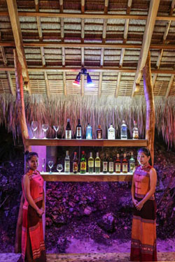 Den Pasar Nasog Beachfront Villa