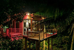 Den Pasar Nasog Beachfront Villa