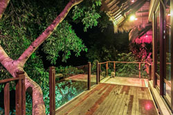 Den Pasar Nasog Beachfront Villa