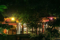 Den Pasar Nasog Beachfront Villa