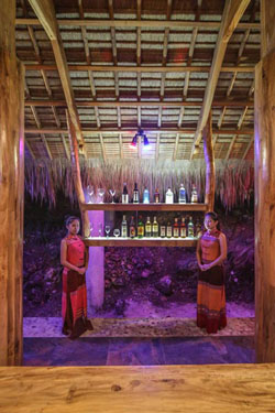 Den Pasar Nasog Beachfront Villa