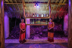 Den Pasar Nasog Beachfront Villa