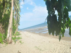 7As Beach Resort
