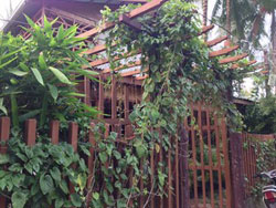 Antonio Village Pension