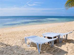 Evolution Dive Resort