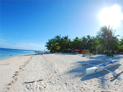 Evolution Dive Resort