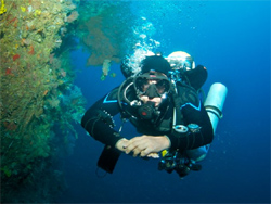 Evolution Dive Resort