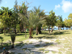 Mangrove Oriental Resort