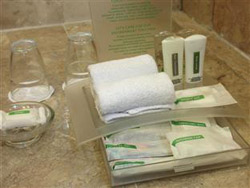 Holiday Inn Galleria