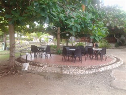 Asian Belgian Resort