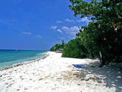 Dolphin House Resort Spa and Diving