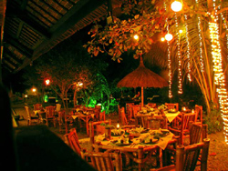 Dolphin House Resort Spa and Diving