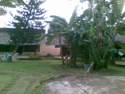 Sunshine Pension House Moalboal Cebu