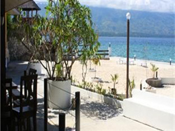 Turtle Bay Dive Resort Moalboal Cebu