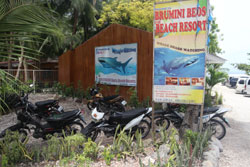 Brumini Beds and Beach Resort Oslob