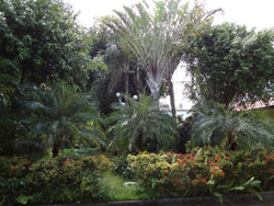 Olmans View Resort