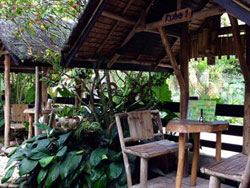 Ayettes Bamboo House