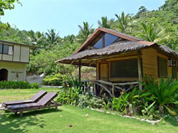 Secret Paradise and Turtle Sanctuary