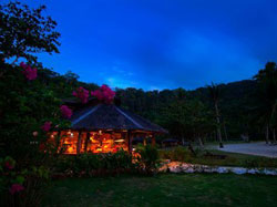 Secret Paradise and Turtle Sanctuary
