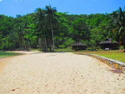 Secret Paradise and Turtle Sanctuary