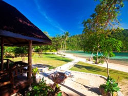 Secret Paradise and Turtle Sanctuary