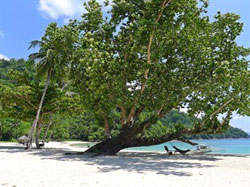 Secret Paradise and Turtle Sanctuary