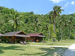 Secret Paradise and Turtle Sanctuary