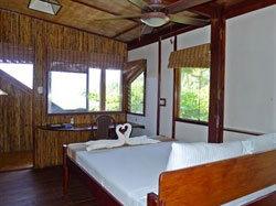 Secret Paradise and Turtle Sanctuary