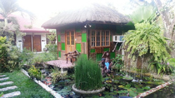 The Lotus Garden Suites  Puerto Princesa