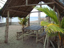 Blue Spruce Beach Resort Zambales