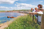 Places to stay in Eyemouth