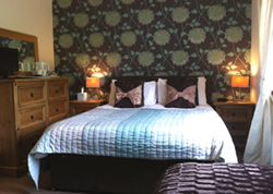 Tower Ridge House Scotland