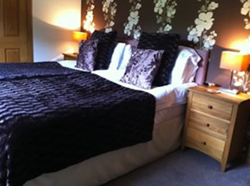 Tower Ridge House Scotland