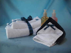 Meadowbank House Scotland