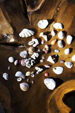 Sentidos Beach Retreat Inhambane