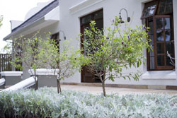 9 Fern Rest Guesthouse