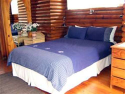 Big Tree House Cottage