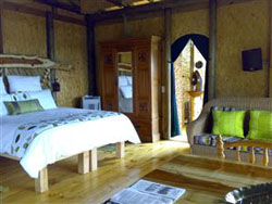 Lazy Leopard Forest Retreat