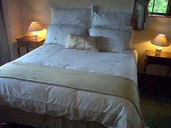 Lazy Leopard Forest Retreat