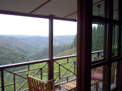 Lazy Leopard Forest Retreat