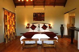 Dung beetle guestfarm addo
