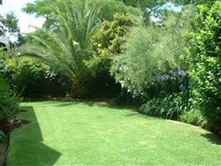 Rambling Rose Guest House