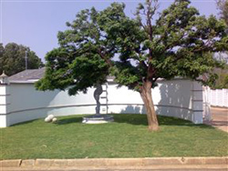Serenity Guest House