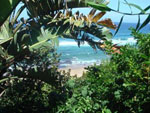 bed and breakfast durban coast
