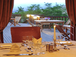 Granny Mouse Country House 