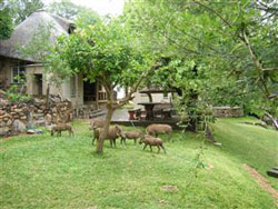 Places to stay in South Africa