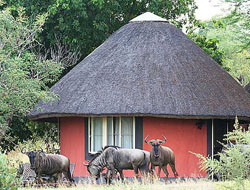 Places to stay in South Africa