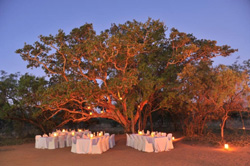 Mabula Private Game Lodge